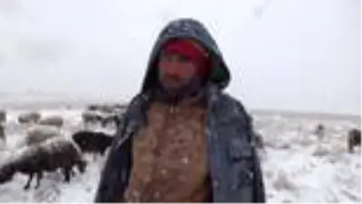 Kar yağışına hazırlıksız yakalanan çobanlar zor anlar yaşadı Kar yağışına hazırlıksız yakalanan çobanlar zor anlar yaşadı