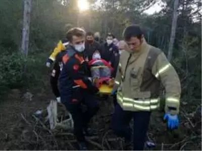 Kayışdağı Ormanı'nda mantar toplarken yere düşen yaşlı kadının ayağı kırıldı Kayışdağı Ormanı'nda mantar toplarken yere düşen yaşlı kadının ayağı kırıldı