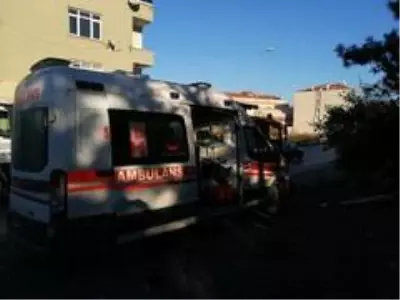 Kayışdağı Ormanı'nda mantar toplarken yere düşen yaşlı kadının ayağı kırıldı Kayışdağı Ormanı'nda mantar toplarken yere düşen yaşlı kadının ayağı kırıldı