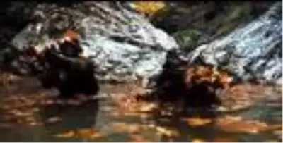 MAK timlerinden kanyonda yaralı kurtarma tatbikatı MAK timlerinden kanyonda yaralı kurtarma tatbikatı