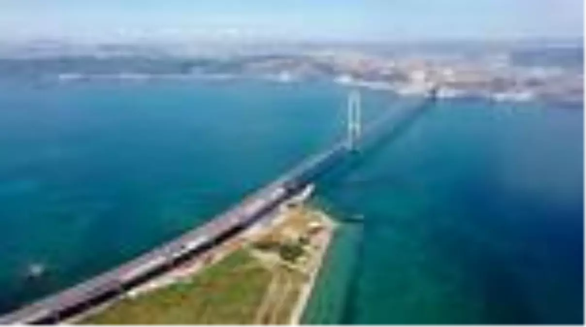 Osmangazi Köprüsü sadece insanların değil göçmen kuşların da denizi geçişini kolaylaştırdı