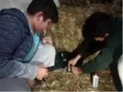 Otomobilin çarptığı köpeğe evlerine alıp, müdahale ettiler Otomobilin çarptığı köpeğe evlerine alıp, müdahale ettiler