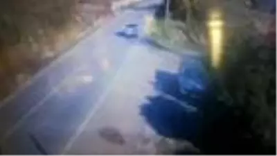 Otomobilin çarptığı köpeğe evlerine alıp, müdahale ettiler Otomobilin çarptığı köpeğe evlerine alıp, müdahale ettiler