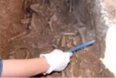 Son dakika haber | Perre Antik Kenti'de tek mezarda 3 iskelet bulundu Son dakika haber | Perre Antik Kenti'de tek mezarda 3 iskelet bulundu