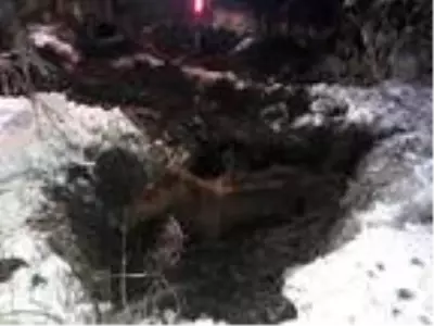 Rögar çukuruna düşen at, iş makinesiyle kurtarıldı Rögar çukuruna düşen at, iş makinesiyle kurtarıldı