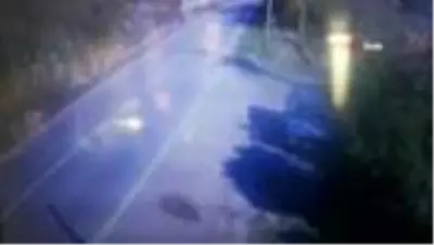 Son dakika haberi... Sakarya'da utandıran görüntüler... Sürücünün yavru köpeğe çarpıp kaçtığı anlar kamerada Son dakika haberi... Sakarya'da utandıran görüntüler... Sürücünün yavru köpeğe çarpıp kaçtığı anlar kamerada