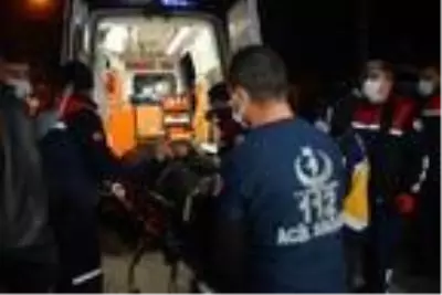 Servis minibüsü ile hafif ticari araç çarpıştı 4 yaralı Servis minibüsü ile hafif ticari araç çarpıştı 4 yaralı