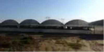 Yönetmen yardımcılığını bırakan genç kadın, memleketine dönerek annesiyle ejder meyvesi üretimine başladı Yönetmen yardımcılığını bırakan genç kadın, memleketine dönerek annesiyle ejder meyvesi üretimine başladı