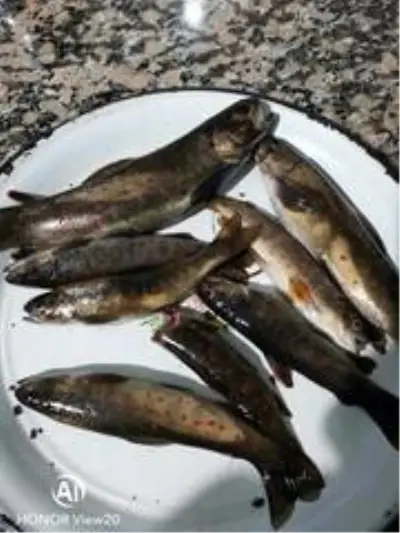 Soğuk havada hasta annesi için balık avına çıktı Soğuk havada hasta annesi için balık avına çıktı