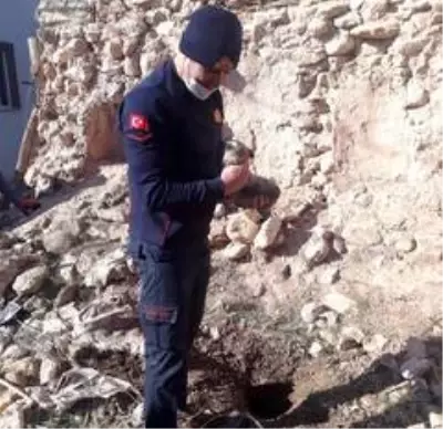 Son dakika haberi... Su kuyusuna düşen köpek, itfaiye ekiplerince kurtarıldı Son dakika haberi... Su kuyusuna düşen köpek, itfaiye ekiplerince kurtarıldı