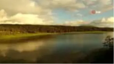 Türkiye'nin Sevgi Çiçekleri Vizör'ün ardında Türkiye'nin Sevgi Çiçekleri Vizör'ün ardında