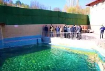 Vali Ali Çelik, Dereli Termal Turizm Merkezi'ni inceledi Vali Ali Çelik, Dereli Termal Turizm Merkezi'ni inceledi