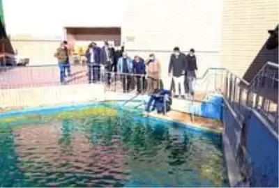 Vali Ali Çelik, Dereli Termal Turizm Merkezi'ni inceledi Vali Ali Çelik, Dereli Termal Turizm Merkezi'ni inceledi