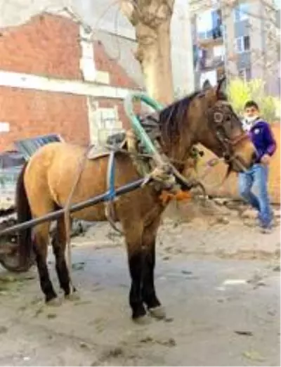 Son Dakika | Yaşı küçük çocukların şehir içinde dört nala yolculuğu Son Dakika | Yaşı küçük çocukların şehir içinde dört nala yolculuğu