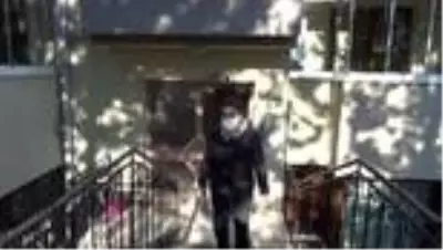 ZONGULDAK - Sahilden topladığı taşlara çizdiği resimlerle hayat veriyor ZONGULDAK - Sahilden topladığı taşlara çizdiği resimlerle hayat veriyor