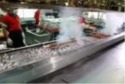 Adanalı kebapçıdan seçimi kaybeden Trump'a kebaplı 'geçmiş olsun' mesajı Adanalı kebapçıdan seçimi kaybeden Trump'a kebaplı 'geçmiş olsun' mesajı
