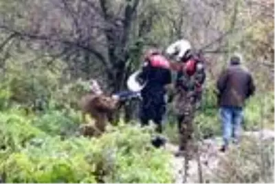 Son dakika... Ağaçlık alanda içki içeceklerdi, şişeleri toplayıp evlerine gönderildiler Son dakika... Ağaçlık alanda içki içeceklerdi, şişeleri toplayıp evlerine gönderildiler
