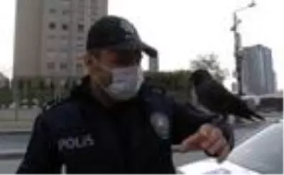 ATAŞEHİR'DE DENETİM YAPAN POLİS EKİPLERİNE KARGA SÜRPRİZİ ATAŞEHİR'DE DENETİM YAPAN POLİS EKİPLERİNE KARGA SÜRPRİZİ