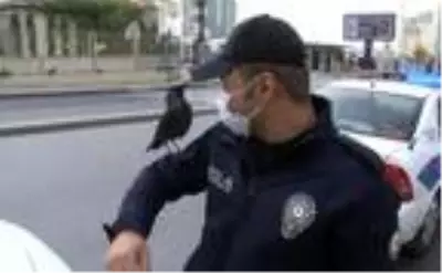 ATAŞEHİR'DE DENETİM YAPAN POLİS EKİPLERİNE KARGA SÜRPRİZİ ATAŞEHİR'DE DENETİM YAPAN POLİS EKİPLERİNE KARGA SÜRPRİZİ