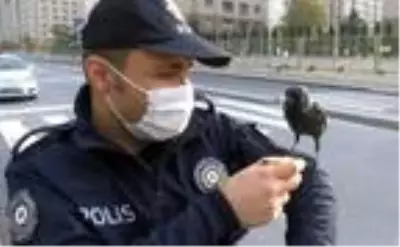 ATAŞEHİR'DE DENETİM YAPAN POLİS EKİPLERİNE KARGA SÜRPRİZİ ATAŞEHİR'DE DENETİM YAPAN POLİS EKİPLERİNE KARGA SÜRPRİZİ