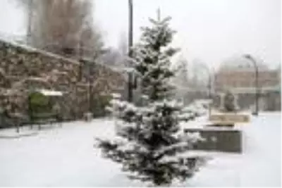 Başkale'de kar yağışı etkili oldu