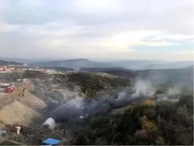 Son dakika haberleri | Bilecik'te makilik alanda yangın Son dakika haberleri | Bilecik'te makilik alanda yangın