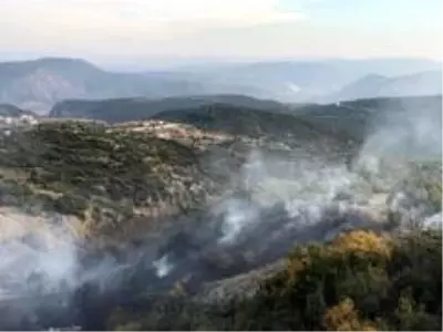 Son dakika haberleri | Bilecik'te makilik alanda yangın Son dakika haberleri | Bilecik'te makilik alanda yangın