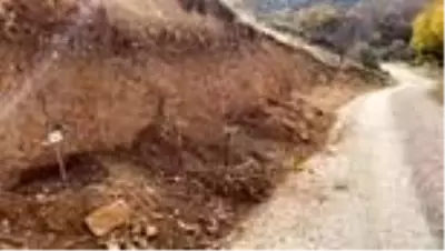 Bu köyde vefat edenlerin anısına ağaç dikiliyor Bu köyde vefat edenlerin anısına ağaç dikiliyor