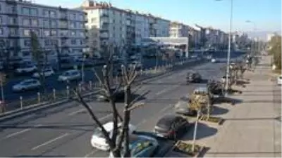 Kayseri Büyükşehir Belediyesinden ağaç bakım ve budama çalışması Kayseri Büyükşehir Belediyesinden ağaç bakım ve budama çalışması