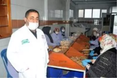 Ceviz kırıp aile bütçesine katlı sağlıyorlar Ceviz kırıp aile bütçesine katlı sağlıyorlar