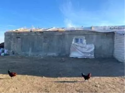 Çobanlık yapan baba, eve dönüştürdüğü ahırda ailesiyle yaşıyor Çobanlık yapan baba, eve dönüştürdüğü ahırda ailesiyle yaşıyor