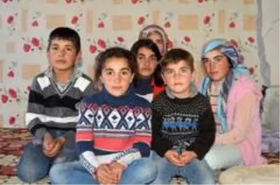 Çobanlık yapan baba, eve dönüştürdüğü ahırda ailesiyle yaşıyor Çobanlık yapan baba, eve dönüştürdüğü ahırda ailesiyle yaşıyor