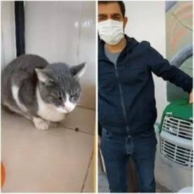 Depremden kurtarılan can dostlar sahiplendiriliyor Depremden kurtarılan can dostlar sahiplendiriliyor