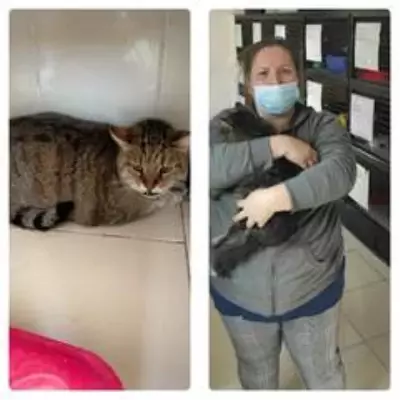 Depremden kurtarılan can dostlar sahiplendiriliyor Depremden kurtarılan can dostlar sahiplendiriliyor