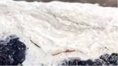Eğirdir, kimyasal kirlilik nedeniyle köpürüyor Eğirdir, kimyasal kirlilik nedeniyle köpürüyor