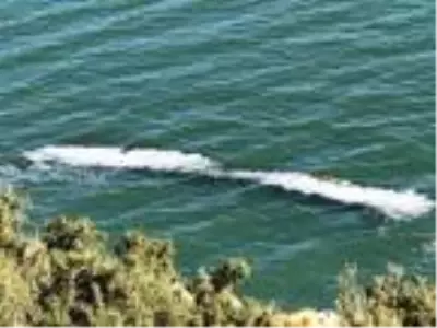 Eğirdir, kimyasal kirlilik nedeniyle köpürüyor Eğirdir, kimyasal kirlilik nedeniyle köpürüyor