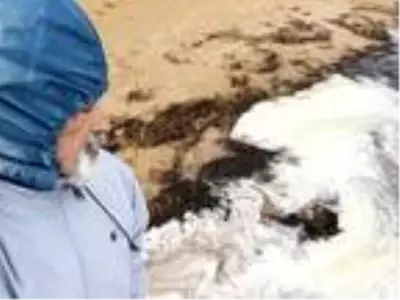Eğirdir, kimyasal kirlilik nedeniyle köpürüyor Eğirdir, kimyasal kirlilik nedeniyle köpürüyor