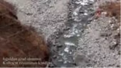 Ermenistan'ın işgalinden kurtarılan Şahbulag köyü görüntülendi Ermenistan'ın işgalinden kurtarılan Şahbulag köyü görüntülendi
