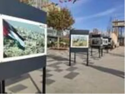 Filistin Halkıyla Uluslararası Dayanışma Günü'ne özel sergi Filistin Halkıyla Uluslararası Dayanışma Günü'ne özel sergi
