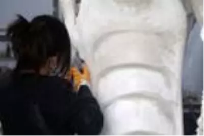 Güney Kore'deki dev akvaryumun heykelleri Çanakkale'den Güney Kore'deki dev akvaryumun heykelleri Çanakkale'den