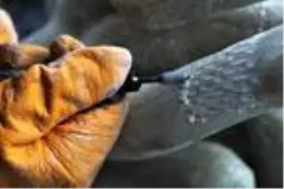 Güney Kore'deki dev akvaryumun heykelleri Çanakkale'den Güney Kore'deki dev akvaryumun heykelleri Çanakkale'den