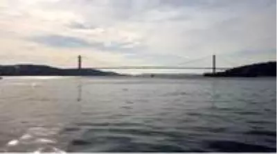 İstanbul Boğazı'nı denizanaları bastı İstanbul Boğazı'nı denizanaları bastı