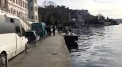 İstanbul Boğazı'nı denizanaları bastı İstanbul Boğazı'nı denizanaları bastı