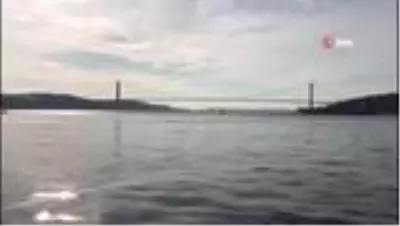 İstanbul Boğazı'nı denizanaları bastı İstanbul Boğazı'nı denizanaları bastı