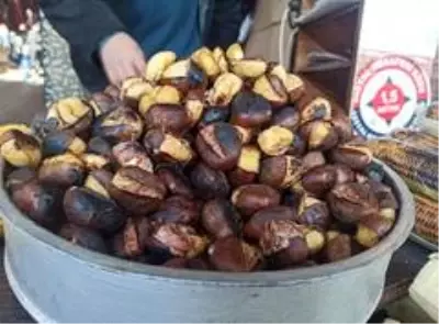 Kestane satarak çocuklarını okutuyor Kestane satarak çocuklarını okutuyor