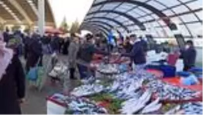 Kilosu 10 TL'ye kadar düşen hamsi fiyatı ile vatandaşın yüzünü güldürdü Kilosu 10 TL'ye kadar düşen hamsi fiyatı ile vatandaşın yüzünü güldürdü