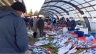 Kilosu 10 TL'ye kadar düşen hamsi fiyatı ile vatandaşın yüzünü güldürdü Kilosu 10 TL'ye kadar düşen hamsi fiyatı ile vatandaşın yüzünü güldürdü