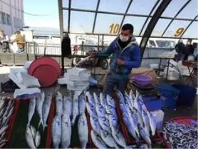 Kilosu 10 TL'ye kadar düşen hamsi fiyatı ile vatandaşın yüzünü güldürdü Kilosu 10 TL'ye kadar düşen hamsi fiyatı ile vatandaşın yüzünü güldürdü
