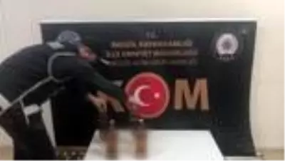 Sahte ve kaçak içki operasyonu Sahte ve kaçak içki operasyonu