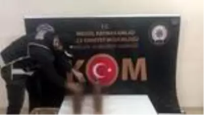Sahte ve kaçak içki operasyonu Sahte ve kaçak içki operasyonu